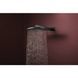 RAINDANCE ALIVE S верхній душ 300мм, 1 режим, колір чорний матовий хром HANSGROHE 24520340 24520340 фото 5