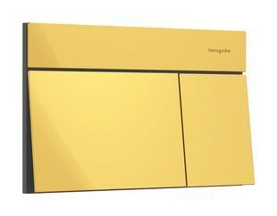 iFRAME ELEMENT E змивна клавіша, полірованне золото HANSGROHE 66003990 66003990 фото