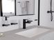ADDSTORIS гачок подвійний, колiр чорний матовий HANSGROHE 41755670 41755670 фото 3