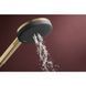 RAINDANCE ALIVE SELECT S ручний душ (3 типи струменів RainAir, PowderRain, Massage), шліфованна бронза HANSGROHE 24500140 24500140 фото 3