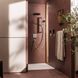 FIXFIT FINE E шлангове з'єднання, хром HANSGROHE 28883000 28883000 фото 3