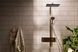 RAINDANCE ALIVE Q Showerpipe душова система 210/340 2jet, з термостатом, шліфованна бронза HANSGROHE 24590140 24590140 фото 7