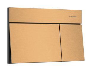 iFRAME ELEMENT E змивна клавіша, шліфованна бронза Hansgrohe 66003140 66003140 фото