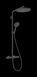 RAINDANCE ALIVE S PURO Showerpipe душова система 300 1jet, з термостатом, шліфованний чорний хром HANSGROHE 24592340 24592340 фото 1