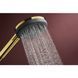 RAINDANCE ALIVE SELECT S ручний душ (3 типи струменів RainAir, PowderRain, Massage), полірованне золото HANSGROHE 24500990 24500990 фото 4