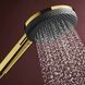 RAINDANCE ALIVE SELECT S ручний душ (3 типи струменів RainAir, PowderRain, Massage), полірованне золото HANSGROHE 24500990 24500990 фото 6