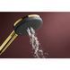 RAINDANCE ALIVE SELECT S ручний душ (3 типи струменів RainAir, PowderRain, Massage), полірованне золото HANSGROHE 24500990 24500990 фото 3