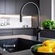Imprese Boa BS матовый черный. Смеситель для кухни с гибким шлангом с лейкой: 221x237/35; латунь. f03401410BS 94037 фото 3
